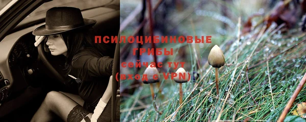 первитин Зеленодольск