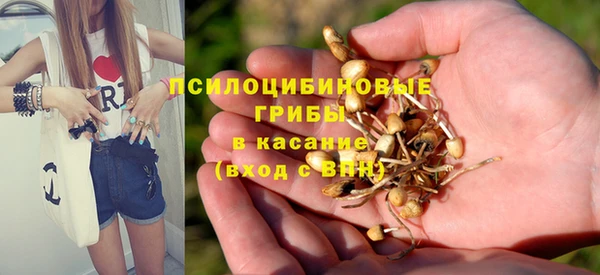первитин Зеленодольск