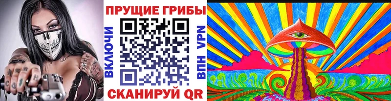 Галлюциногенные грибы Cubensis  Купить где  Кедровый 